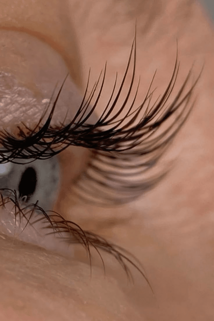 Разработка образовательного сайта на Next.js — кейс веб-студии BTC Vision